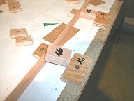 nervures